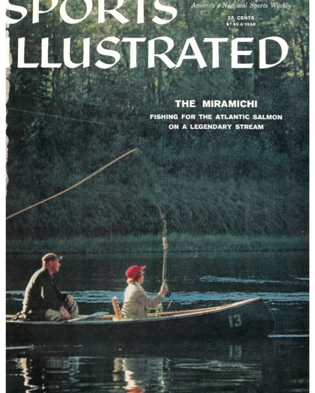 41497 - Cover Image